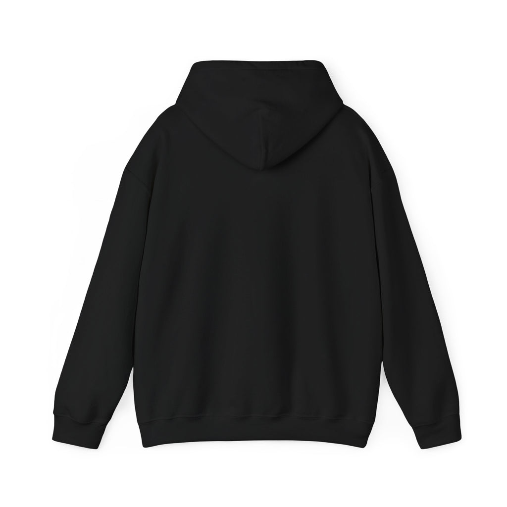 Valley Ball 818 Parent Baseball Hoodie