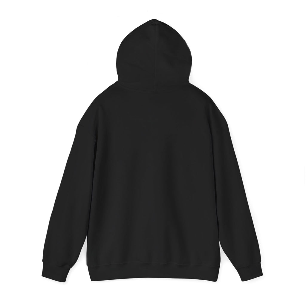 Valley Ball 818 Parent Baseball Hoodie