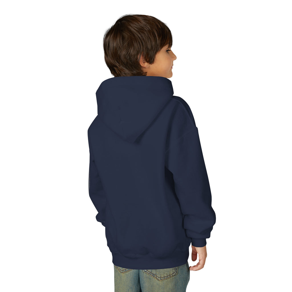 Valley Ball 818 Youth Baseball Hoodie