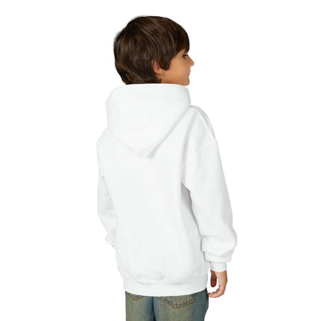 Valley Ball 818 Youth Baseball Hoodie