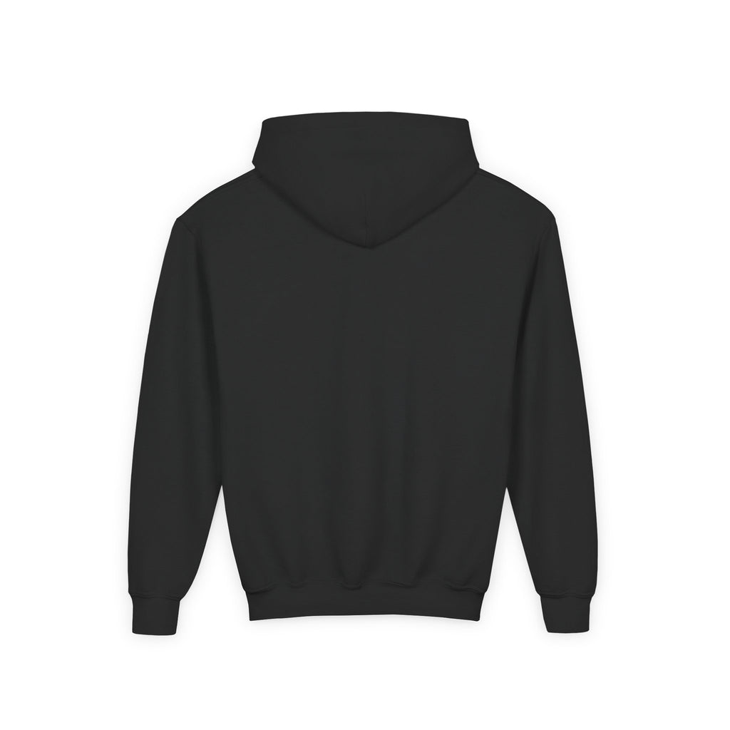 Valley Ball 818 Youth Baseball Hoodie
