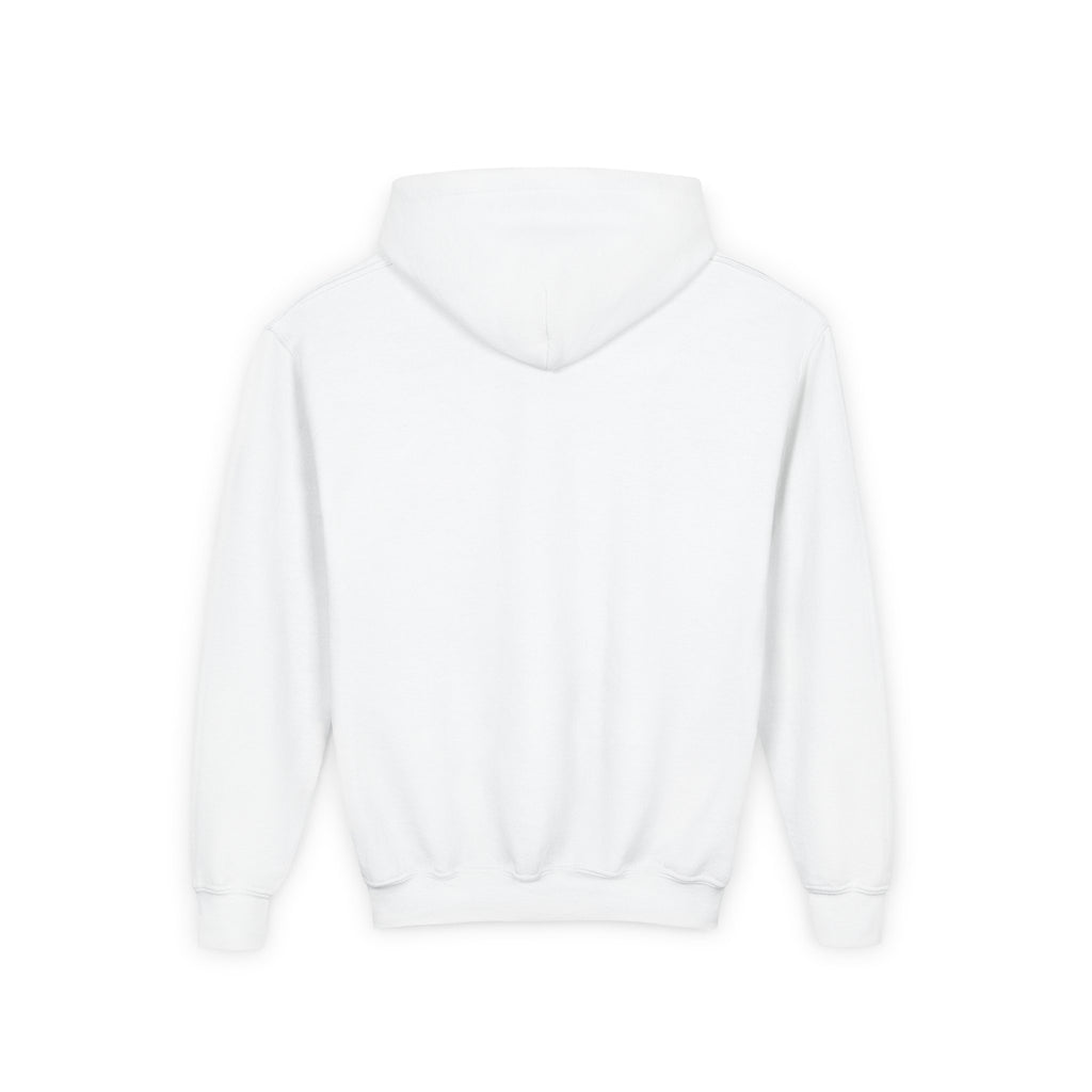 Valley Ball 818 Youth Baseball Hoodie